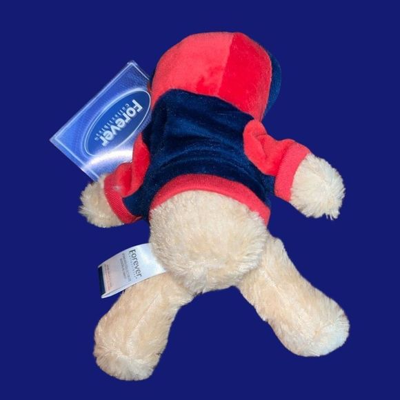 NWT Minnesota Twins TC Mascot Plush Stuffed Bear Hoodie Stuffed Animal - Picture 2 of 2